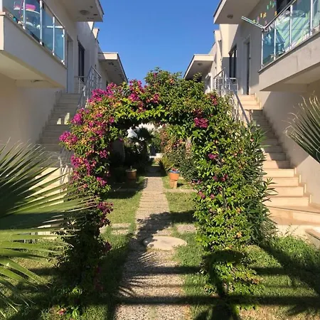 My Dream Homes Apartment